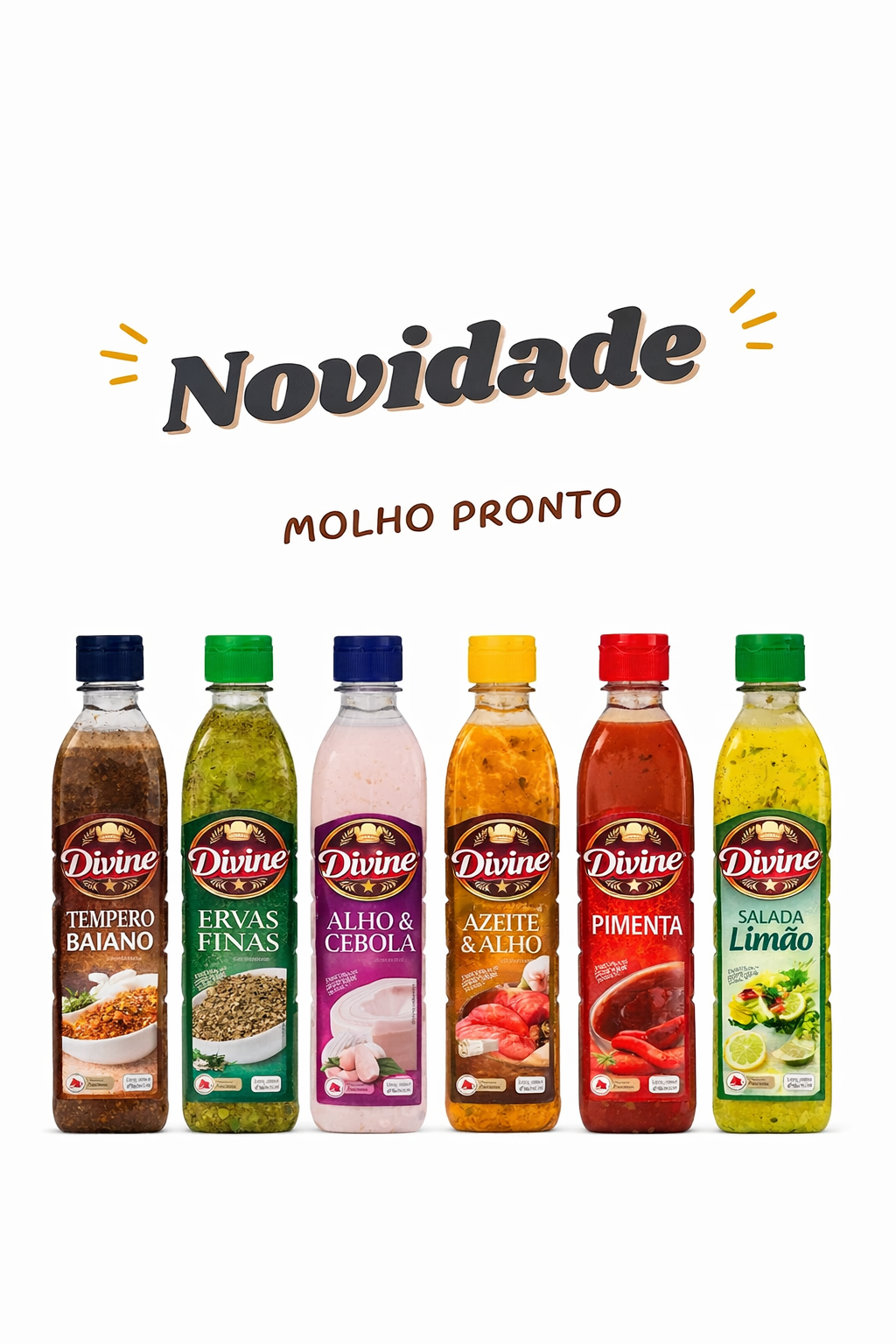 Molhos Prontos Divine - Caixa com 12x500ml – Sabores Sortidos
