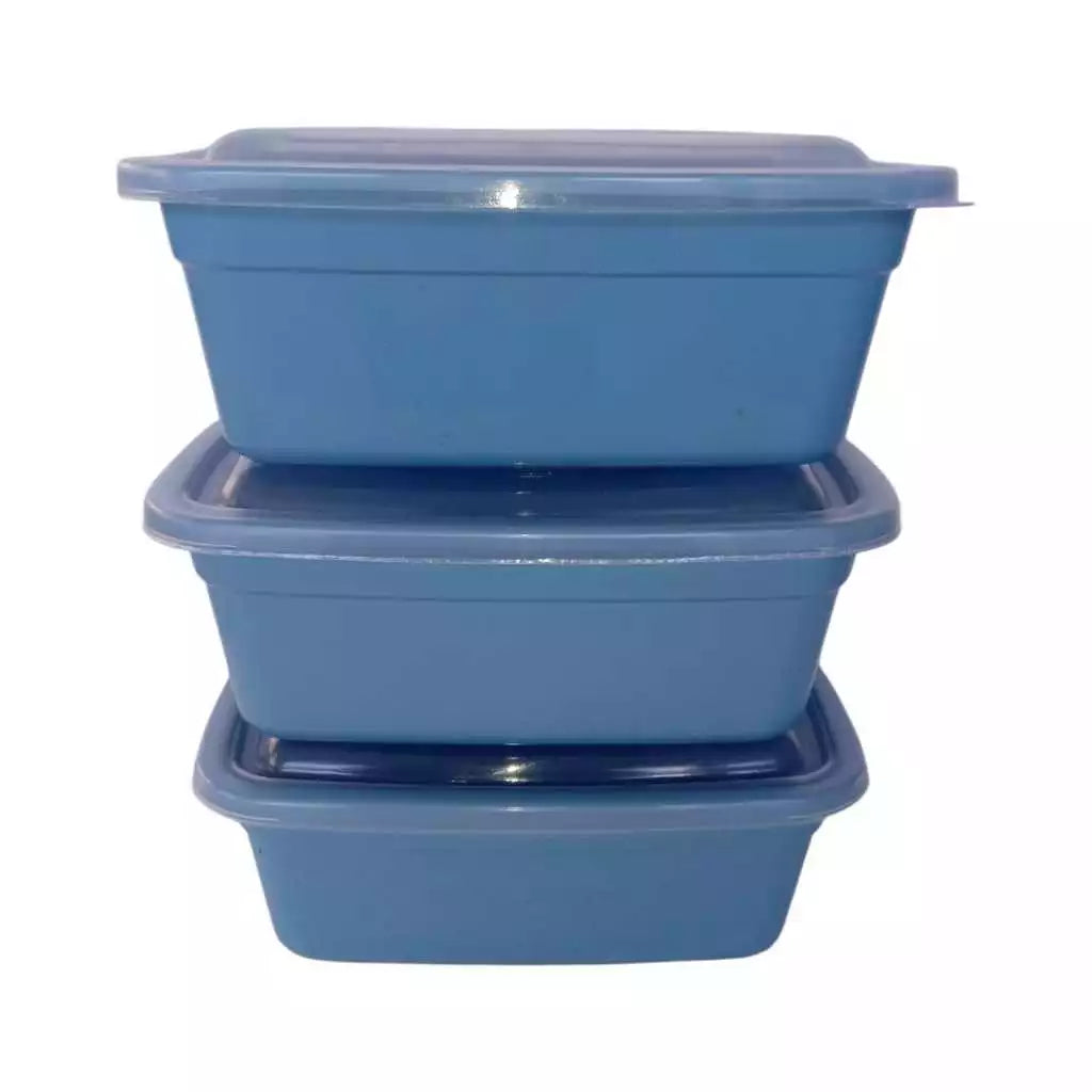 Kit 30 potes retangulares organizadores marmita 1000ml