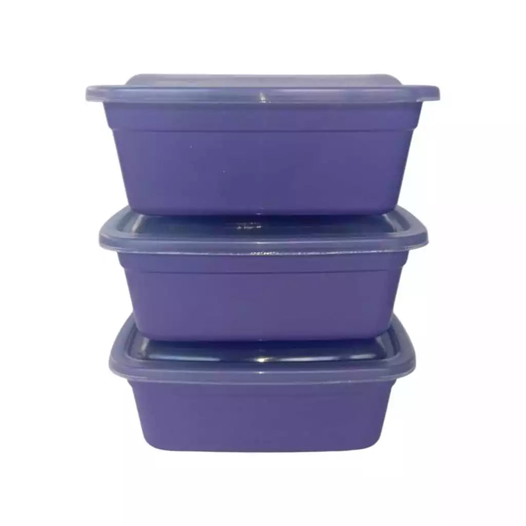 Kit 30 potes retangulares organizadores marmita 1000ml