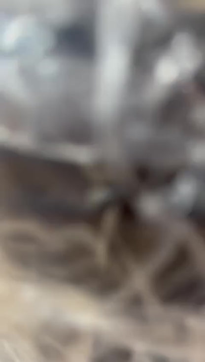 ogo Completo de Utensílios de Cozinha de Silicone Itens Essenciais para sua Casa KITC/12 Su